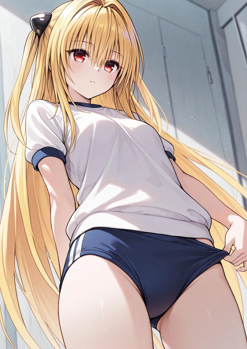 サポートプラス